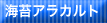 �C�ۃA���J���g